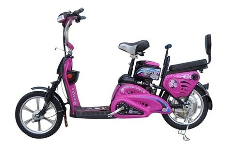 網(wǎng)購一個裸電動車,自己在實體店買電瓶,各位覺得如何